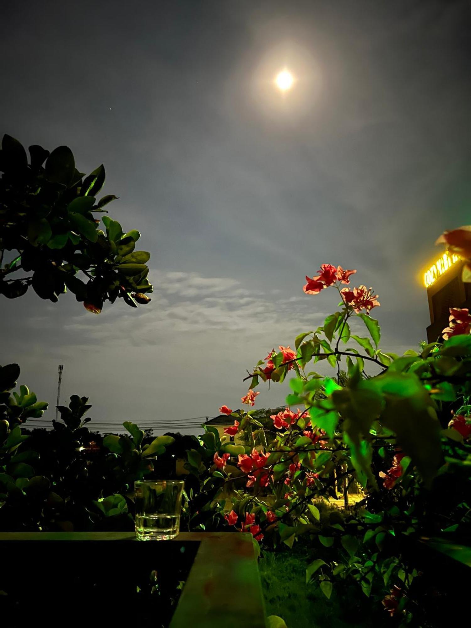 Tam Coc Golden Sun Villa Vu Lam Exterior photo